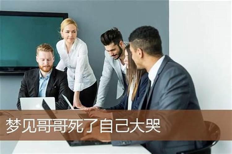 属兔的和什么属相相冲不合