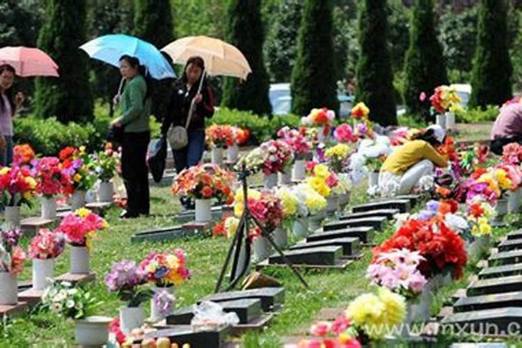 属兔和什么属相不合如何化解