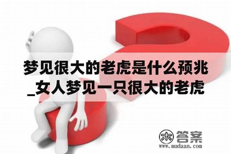 为什么说见虎容易梦虎难