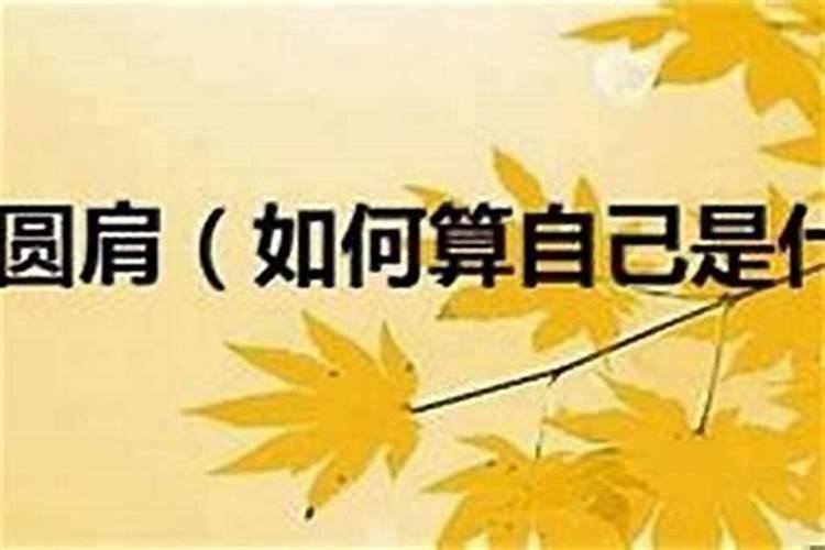 仙家算命真的很准吗？