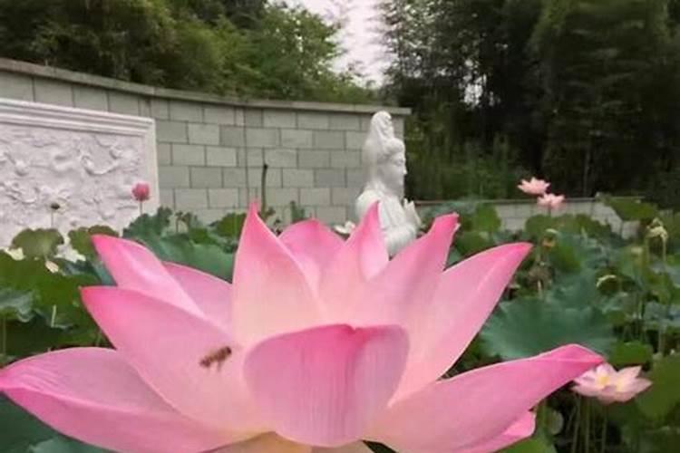 农历十二月二十八,是那位神仙过生日？