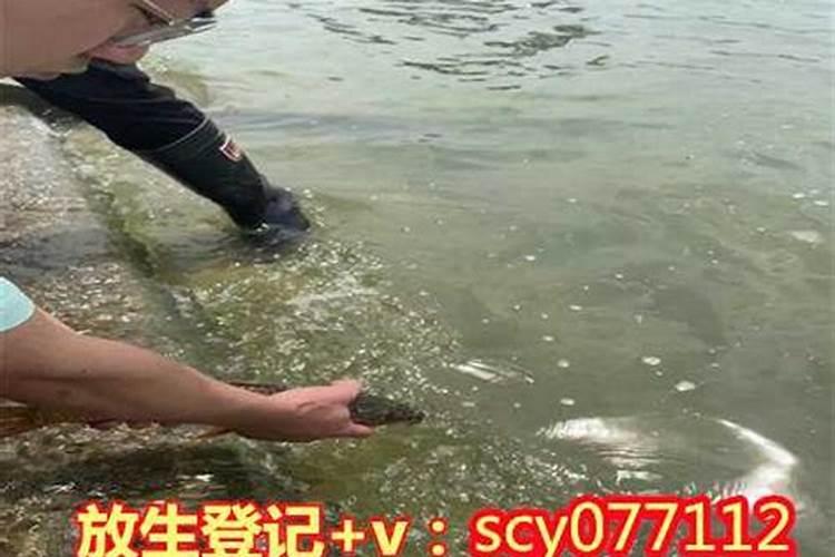 八字合的两个人婚姻就好吗 一定幸福吗？