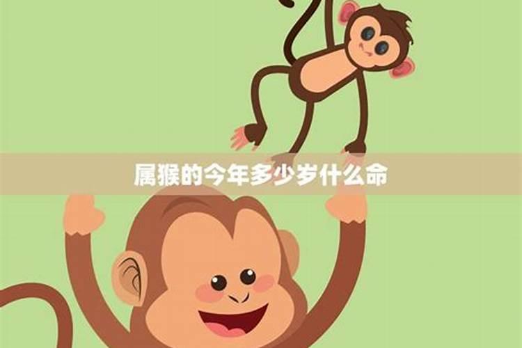 如何对付身边的小人