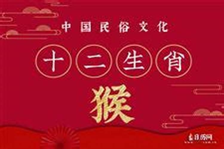 2017年2月2日出生的宝宝属猴还是属鸡
