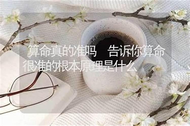 八字合婚的六个原则