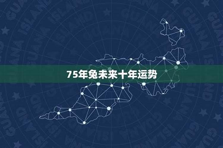 2025年属兔的全年运势