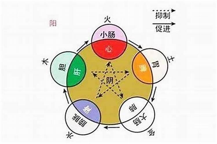 请问八字是看五行属性还是生肖属性？