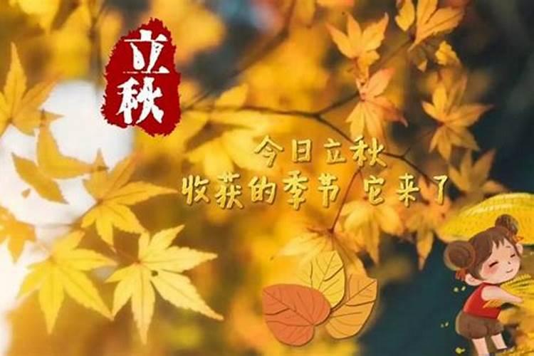 属猪女和属牛男的婚姻怎么样 走的长久吗
