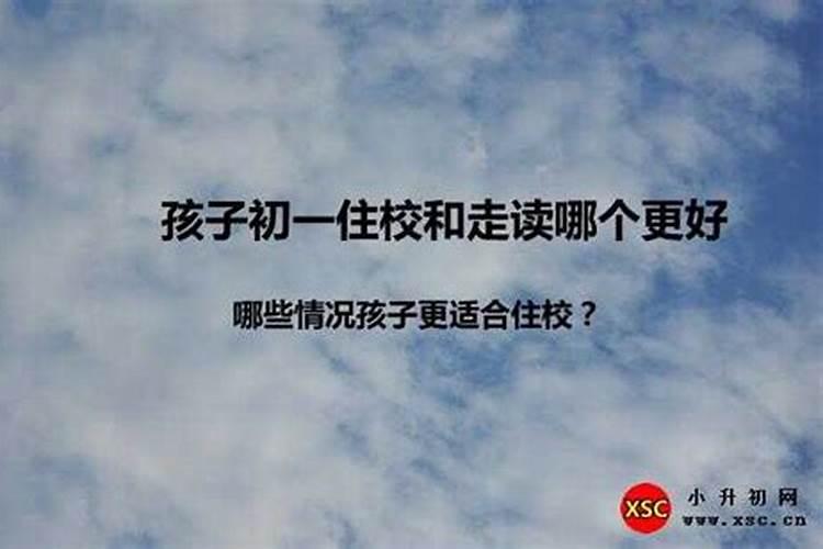 属猴的和属兔的相配吗