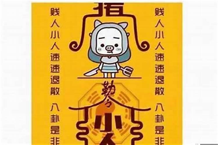 属猴的和属兔的相配吗