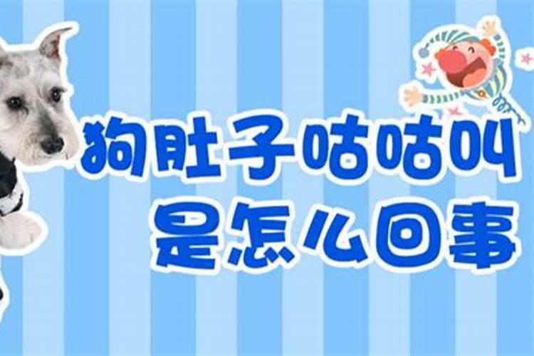 1980年2025年属猴的运势详解
