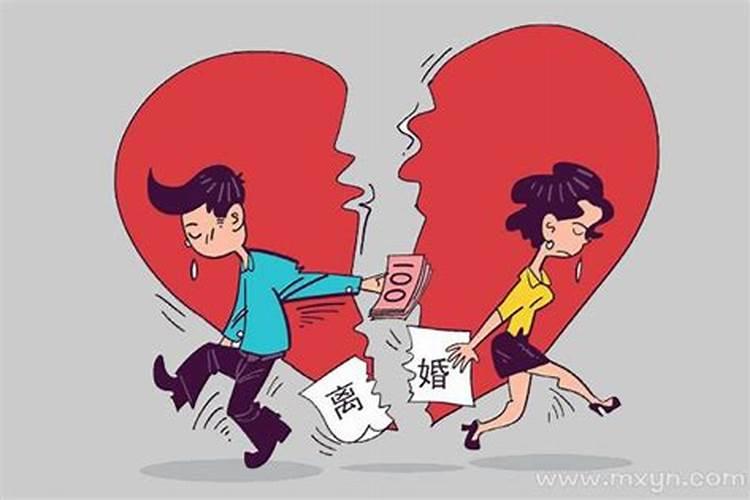 梦到金蟾好么？