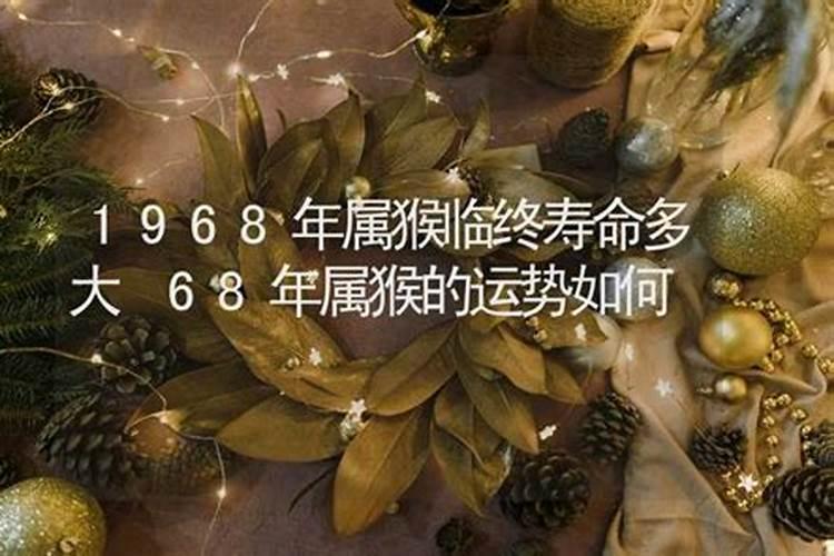 68年猴2025年运势如何