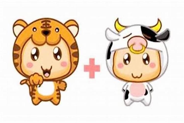 属牛的和属虎的八字合不合 求解