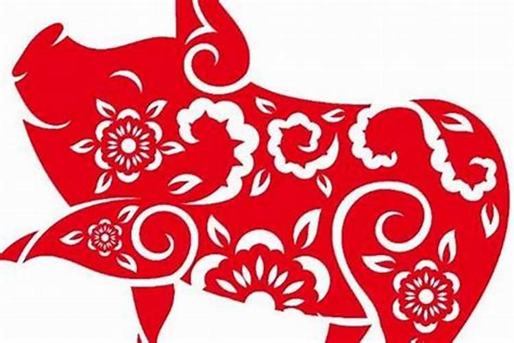 猪狗属相婚配好不好