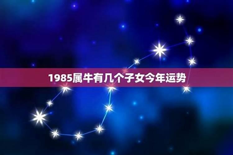 1985属牛的在2025年运气