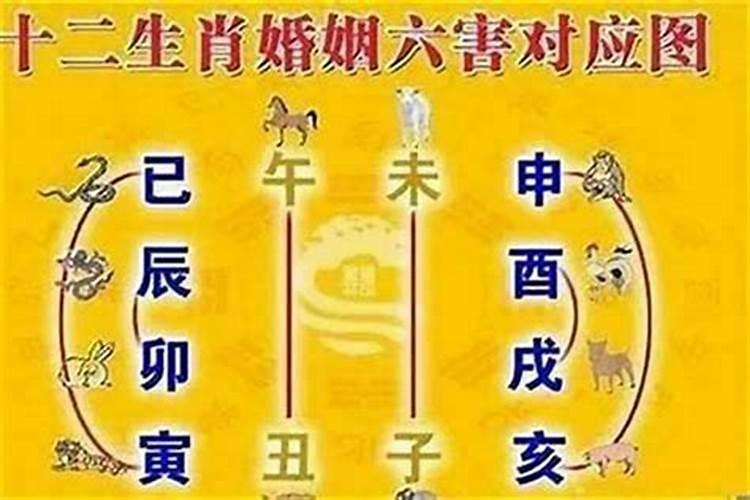 74年属虎2025每月运势及运程