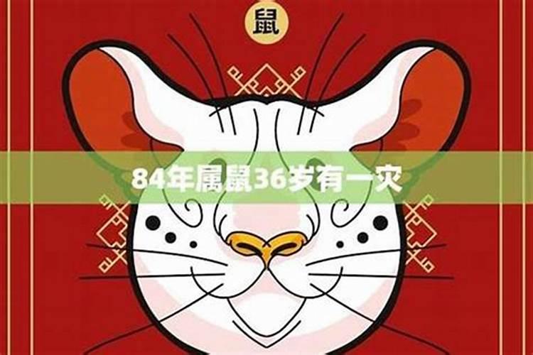 84年女鼠2025年属鼠人的全年运势
