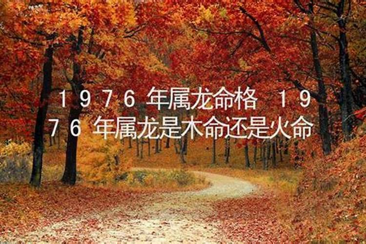 1953年是什么命啊？