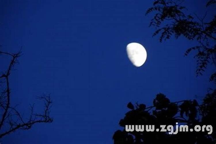 梦见又大又圆月亮高挂空中的预兆