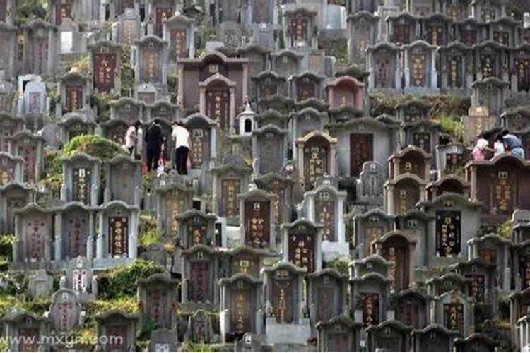 除夕是什么意思