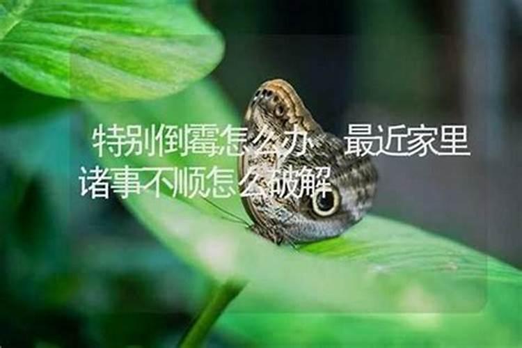 最近诸事不顺怎么化解啊？