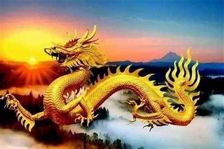 属龙的男人在1976出生在2025全年运势怎么样