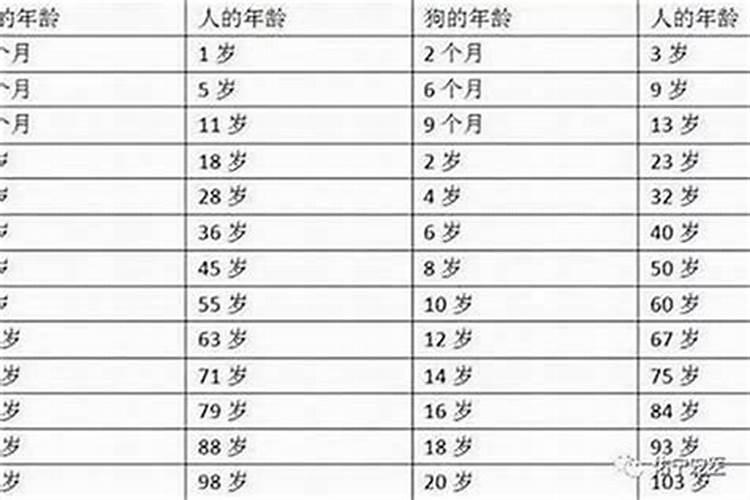 2025年5月17日出生的宝宝