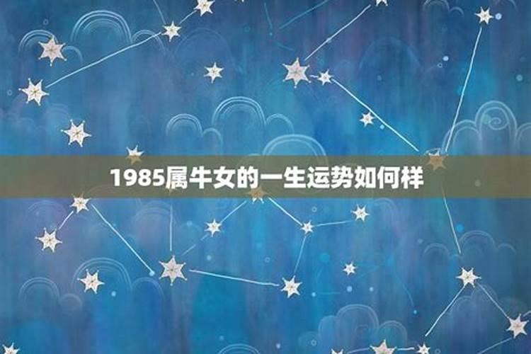1985属牛女人的婚姻和命运 比较坎坷？
