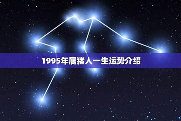 1995年闰八月出生属猪的人一生运势如何？