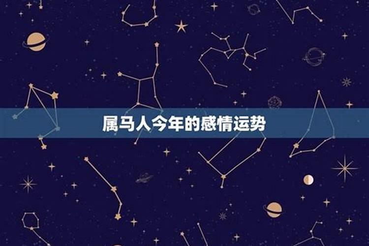 属兔人2025年综合运势