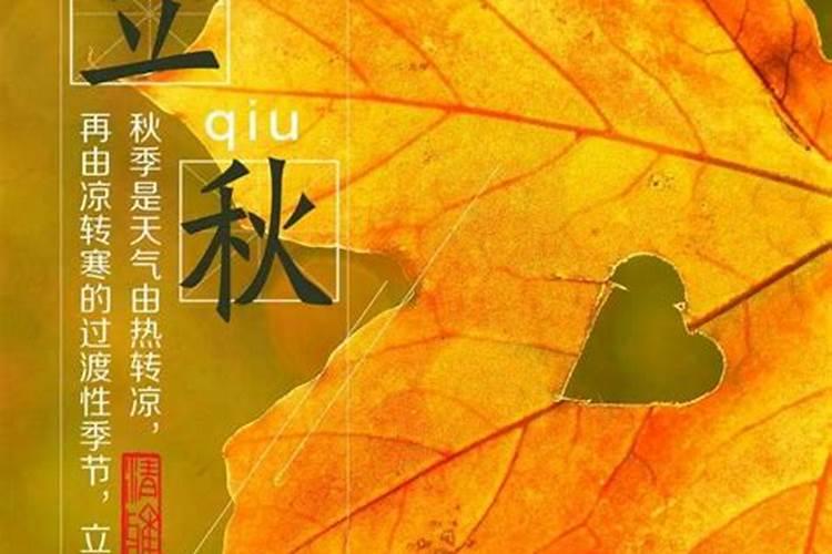 属猪人的一生命运
