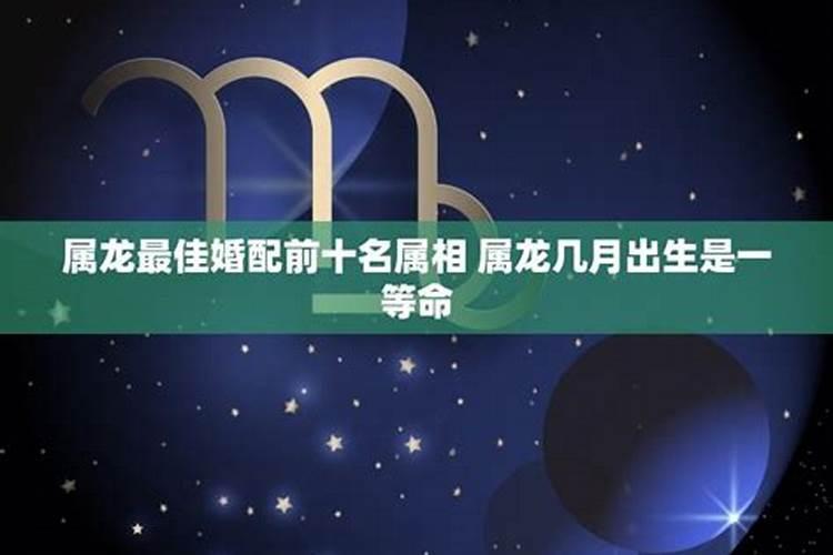 属龙婚配哪个属相最好