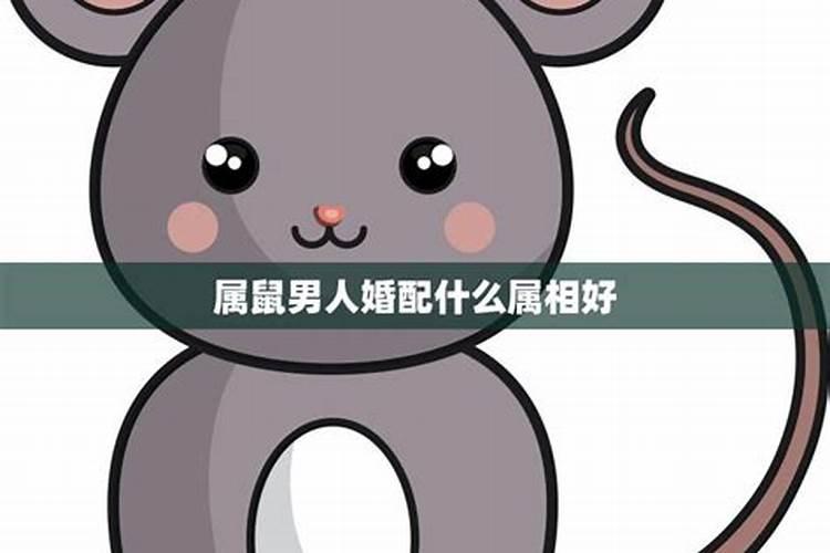 生肖鼠1996年2025年运势如何生肖鼠1996年2025年全年运势
