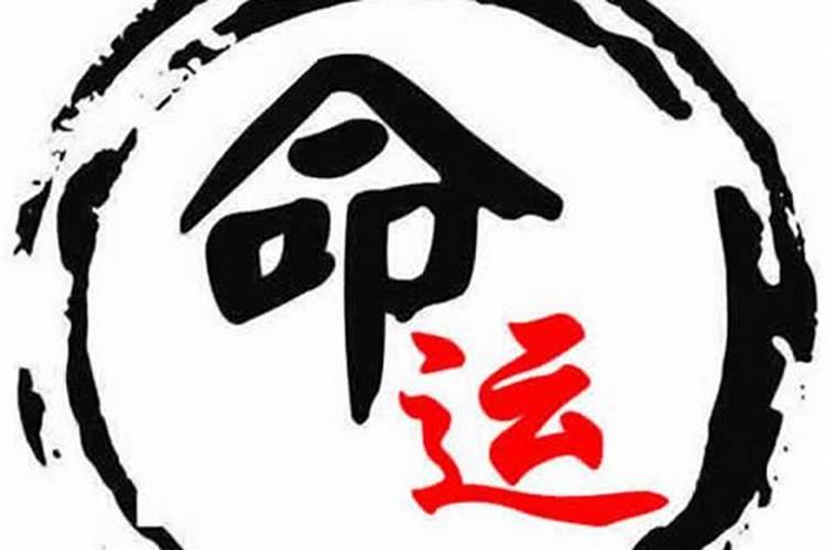 生肖鸡1993年2025年运势如何 生肖鸡1993年2025年全年运势