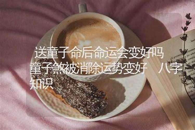 属牛的适合的生肖,属牛的婚配什么属相最好