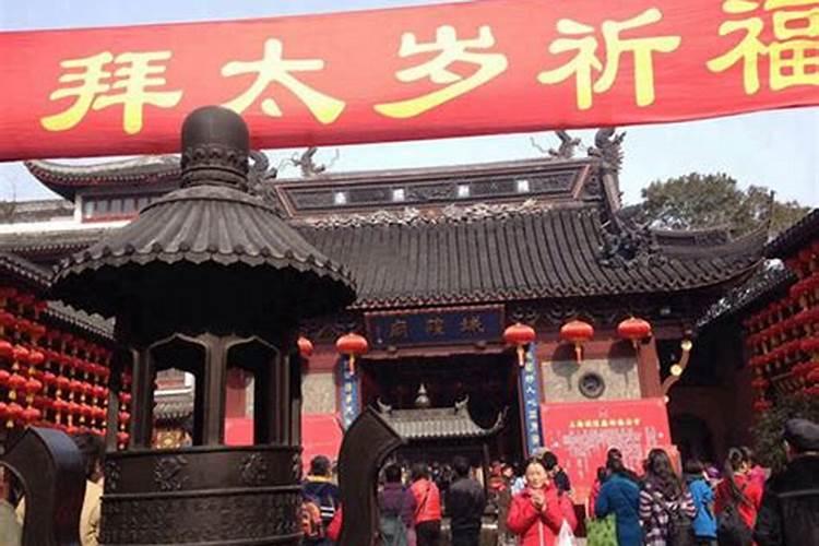 什么树结的果可以做绿篱呢？