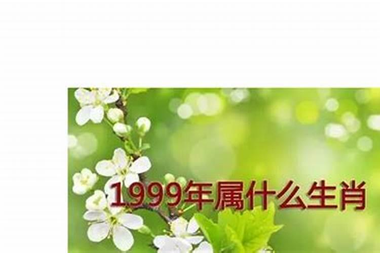 1999年出生的是属兔的一生的命运好不好？