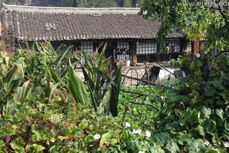 梦见死去的奶奶还活着预示着什么