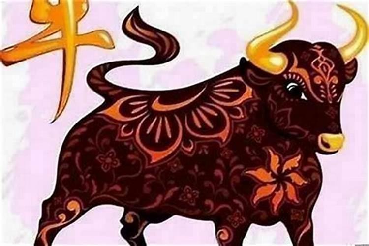 属牛的本命年应该注意什么？