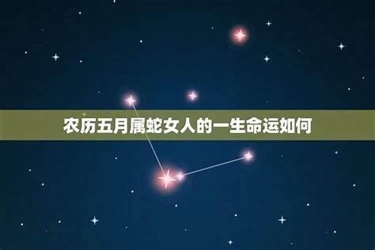 属蛇人一生命运与姻缘解析