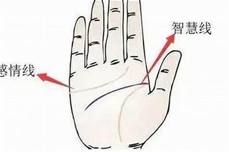广西玉林四季的划分