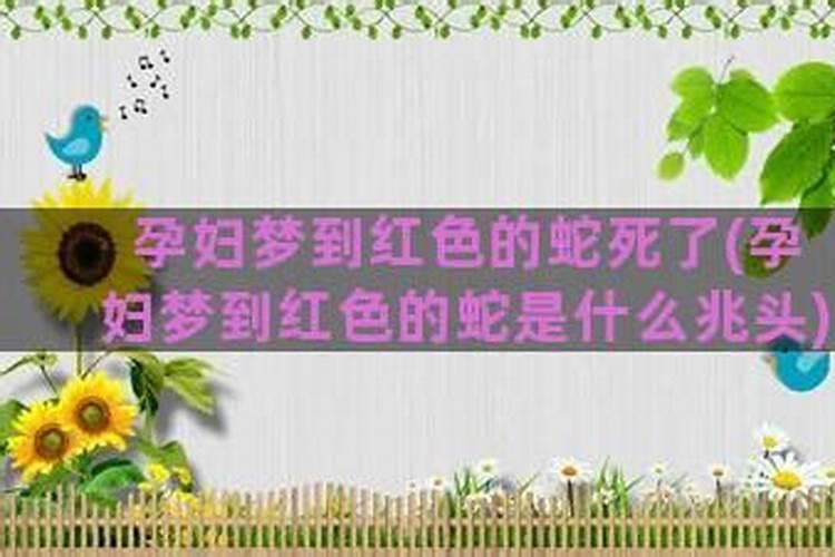 梦见陌生人死了什么意思 梦见陌生人死了是什么征兆