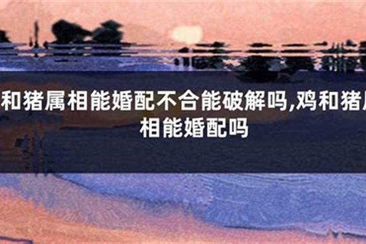 两个人八字不合怎么办