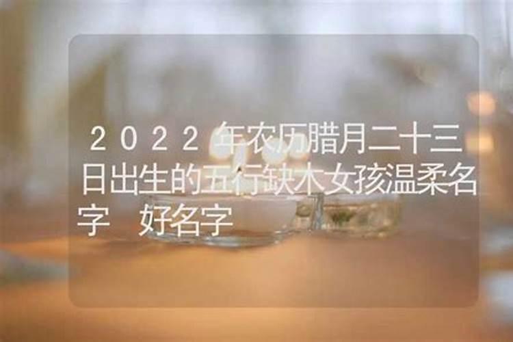 生肖蛇2025年运势及运程如何