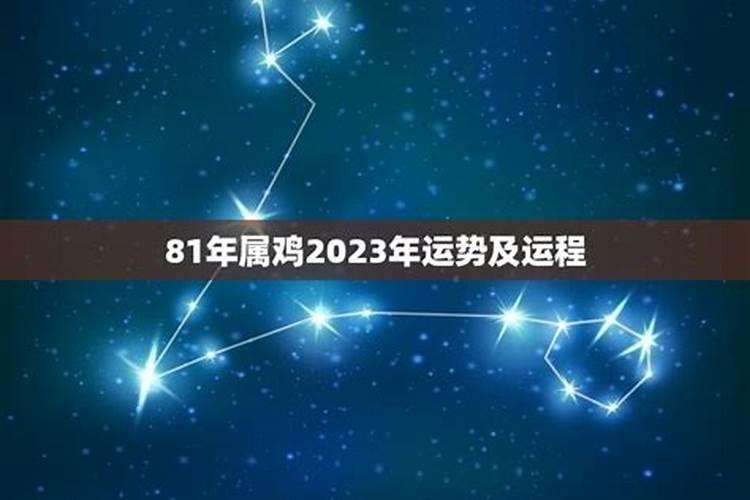 81属鸡女人2025年全年运势