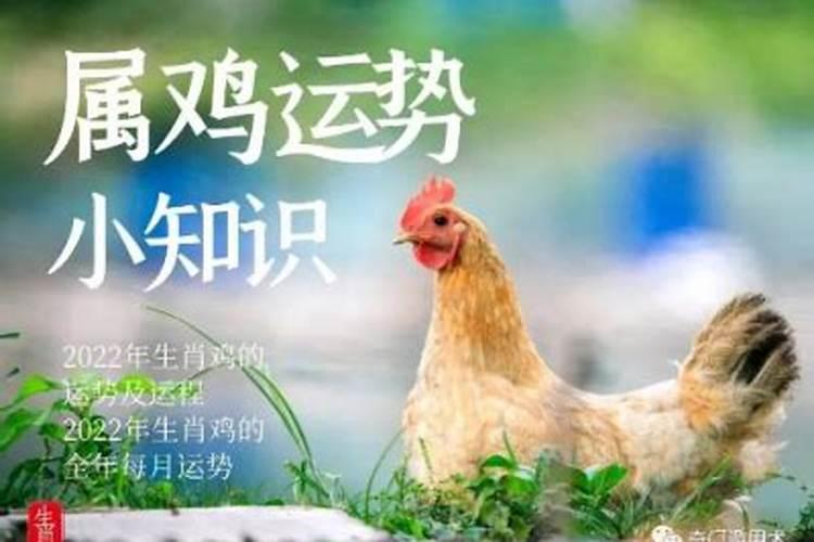 1969年鸡2025年运势及运程每月运程