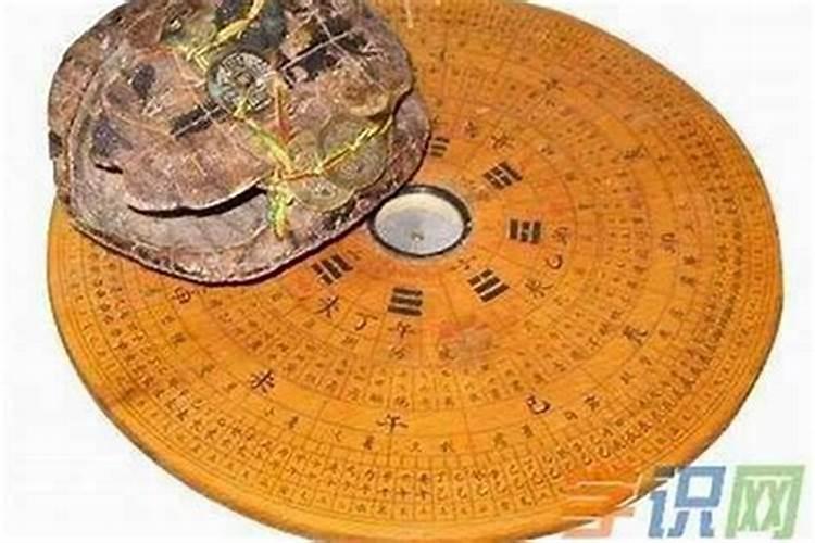 养风水鱼的改运方法风水鱼这样养