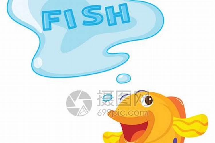 怎么通过养鱼风水増运旺财 应注意哪些