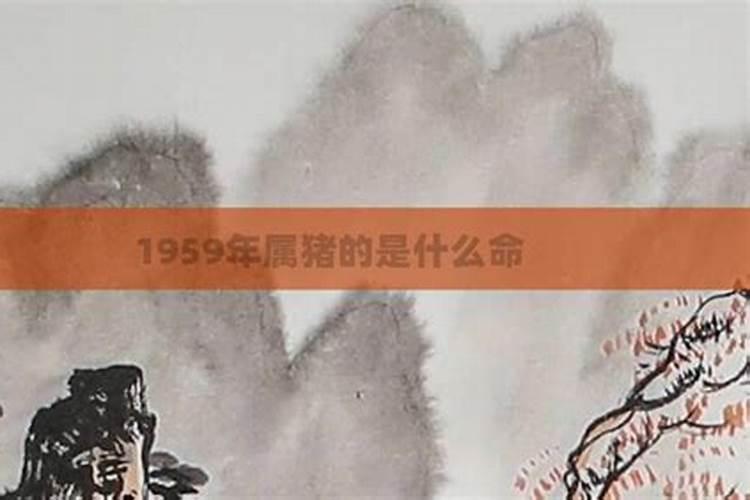 2025属虎今年有一难是什么